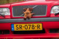 img_0016_small.jpg (3849 byte)