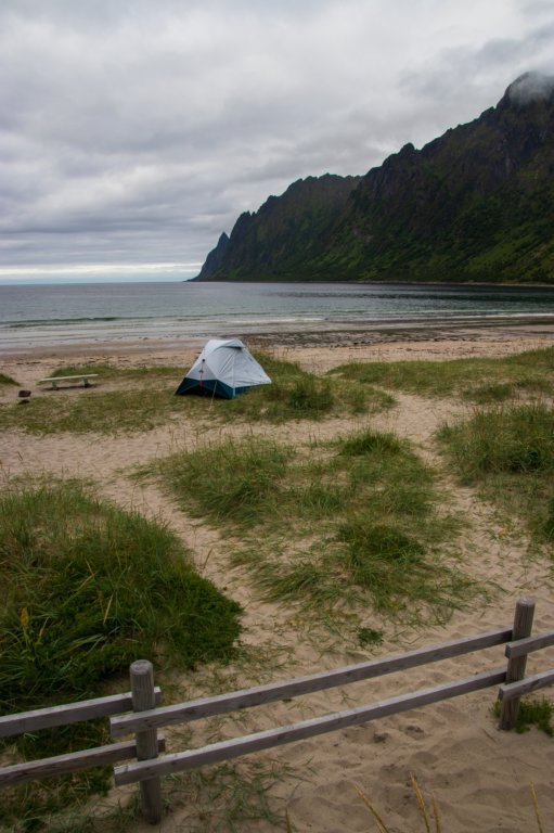 svenor468.jpg