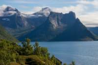 img_0016_small.jpg (3849 byte)