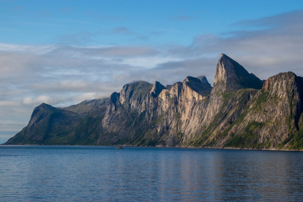 svenor538.jpg