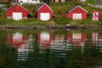 svenor542_small.jpg