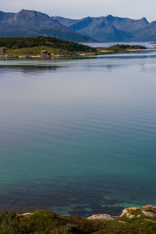 svenor551.jpg