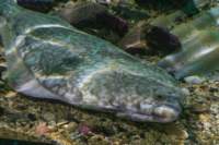 img_0016_small.jpg (3849 byte)