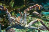 img_0016_small.jpg (3849 byte)