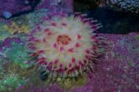 img_0016_small.jpg (3849 byte)