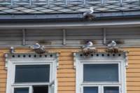 img_0016_small.jpg (3849 byte)