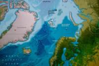 svenor611_small.jpg