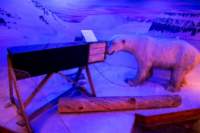 img_0016_small.jpg (3849 byte)