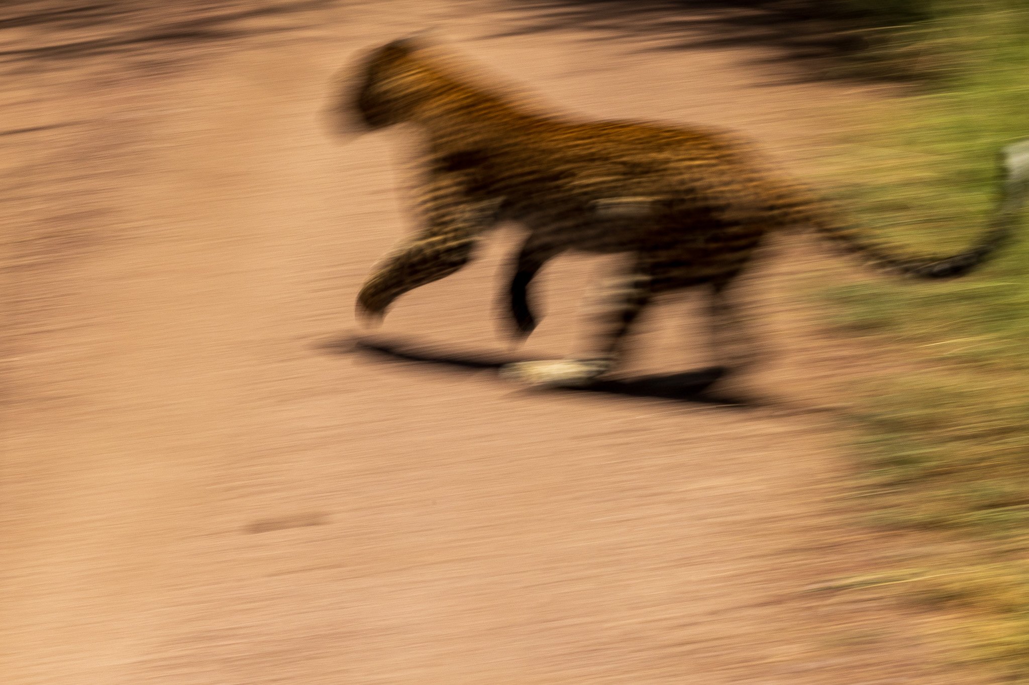 tanz17feb24manyara93.jpg