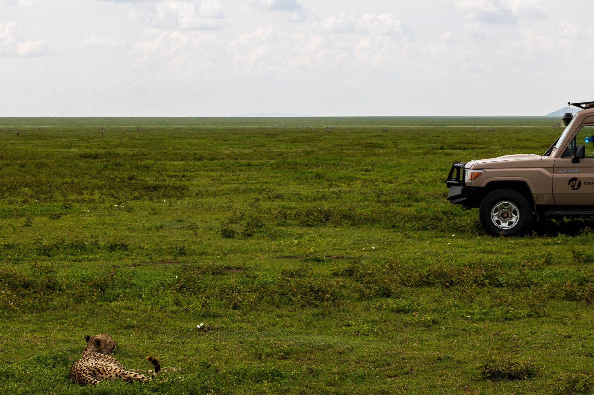 tanz18feb24serengeti20.jpg