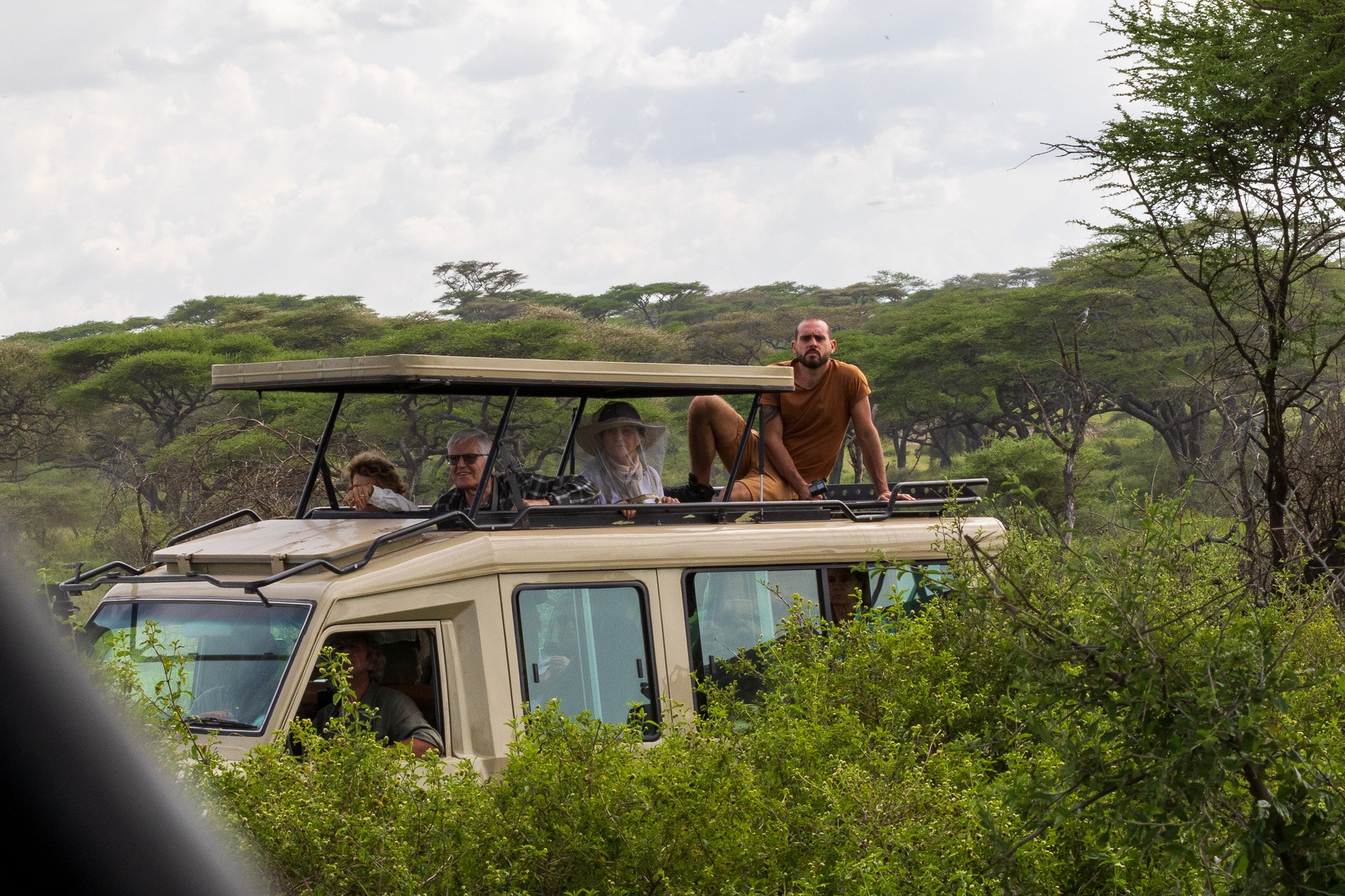 tanz18feb24serengeti38.jpg