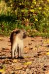 img_9298_small.jpg