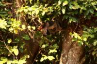 img_9304_small.jpg