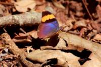 img_9349_small.jpg
