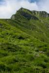 corno03_small.jpg