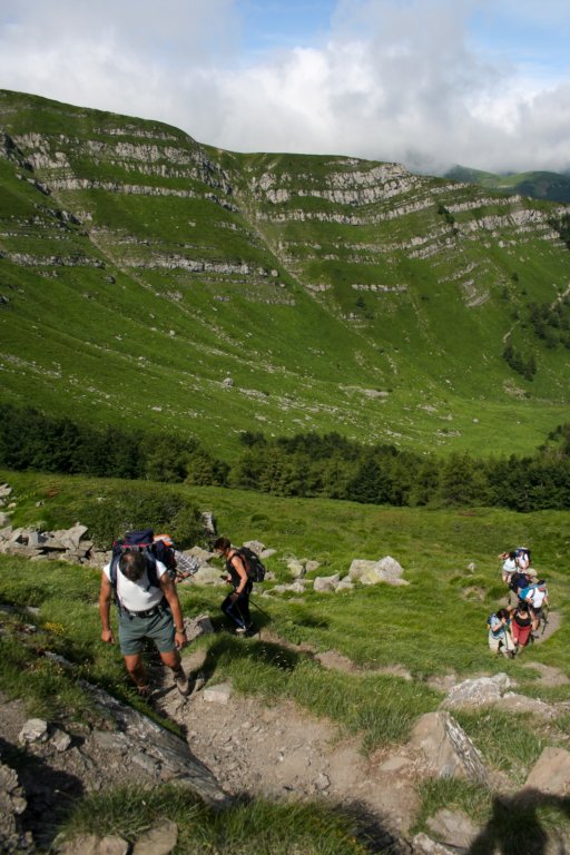 corno06.jpg