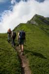 corno08_small.jpg