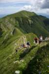 corno11_small.jpg