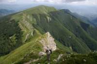 corno15_small.jpg