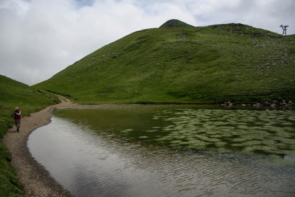 corno20.jpg
