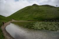 corno20_small.jpg