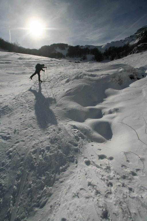 rondinaio08.jpg