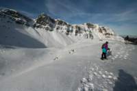 rondinaio09_small.jpg