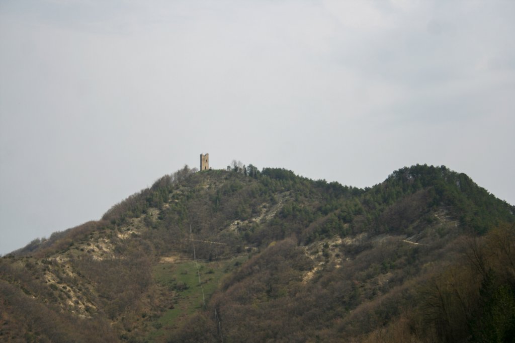 boscagotica09.jpg