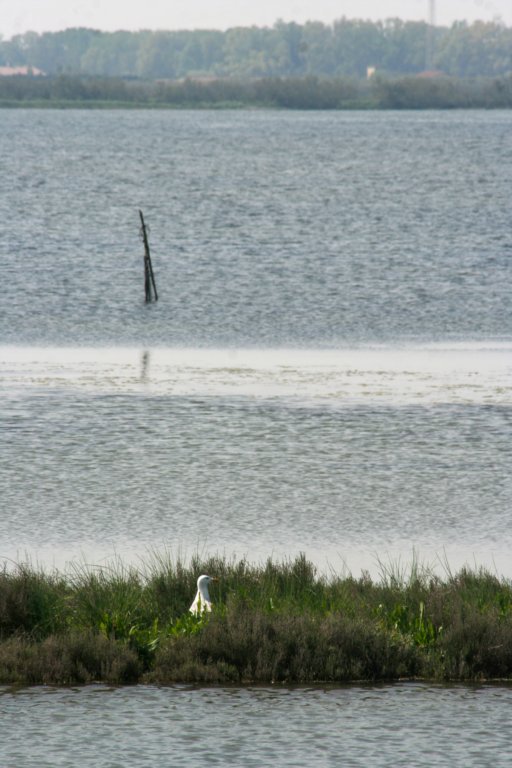 apr25deltapo32.jpg