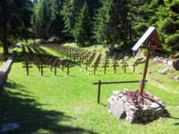 asiago201504_small.jpg