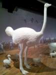 set15expomi07_small.jpg
