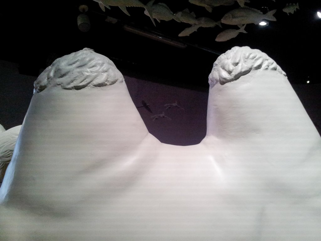 set15expomi08.jpg