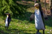 mar12gitagam29_small.jpg