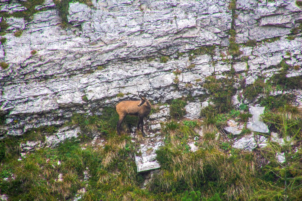 set15pasubio10.jpg