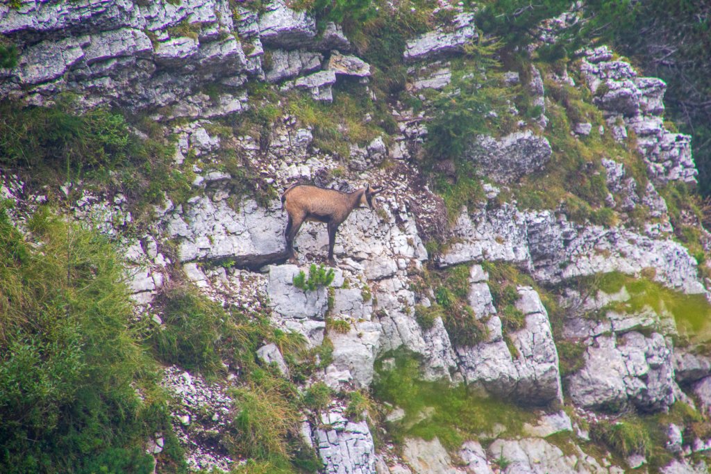 set15pasubio16.jpg