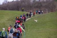 mar22gatti16_small.jpg