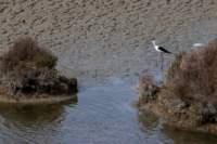 apr22_cai068_small.jpg