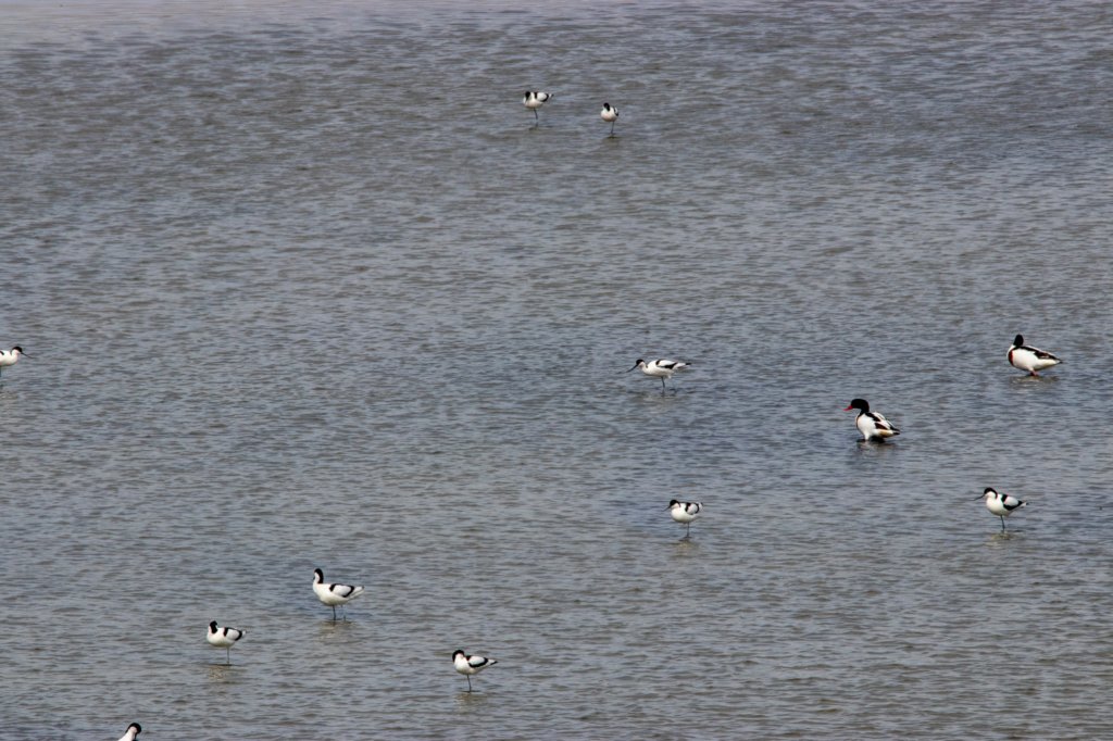 apr22_cai090.jpg