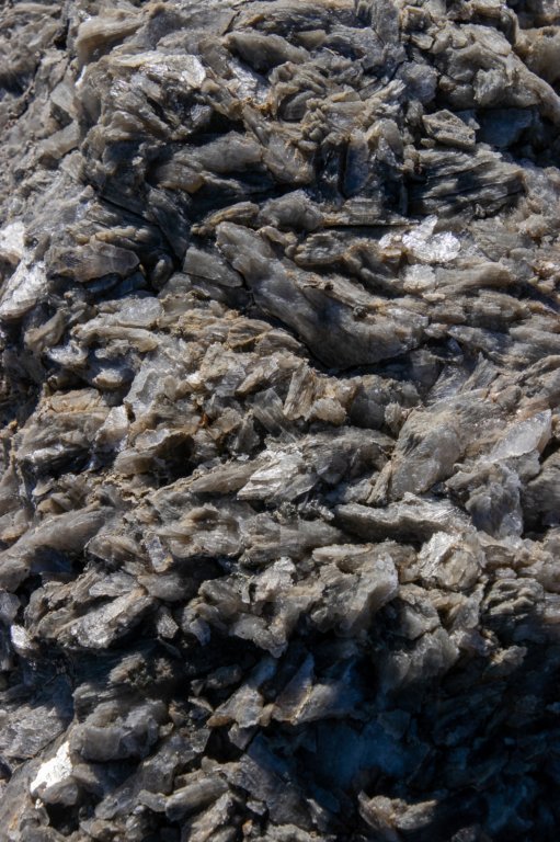 brisighellagatti03.jpg