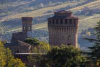brisighellagatti05_small.jpg