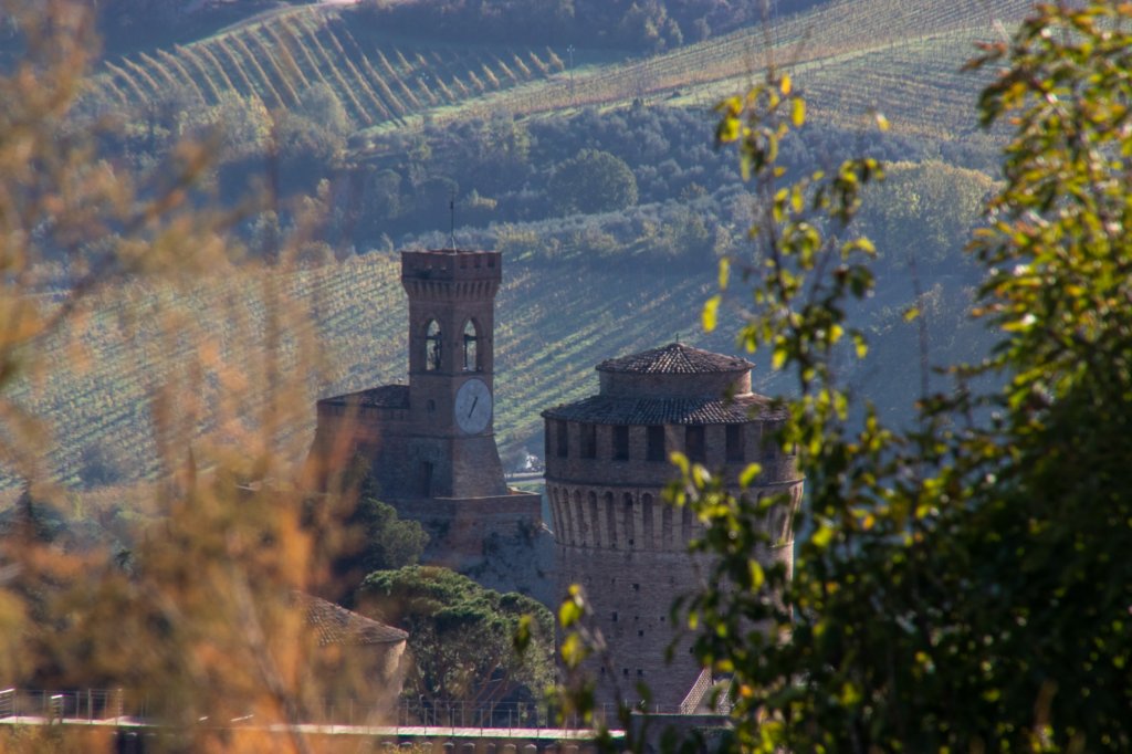 brisighellagatti06.jpg