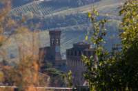 brisighellagatti06_small.jpg