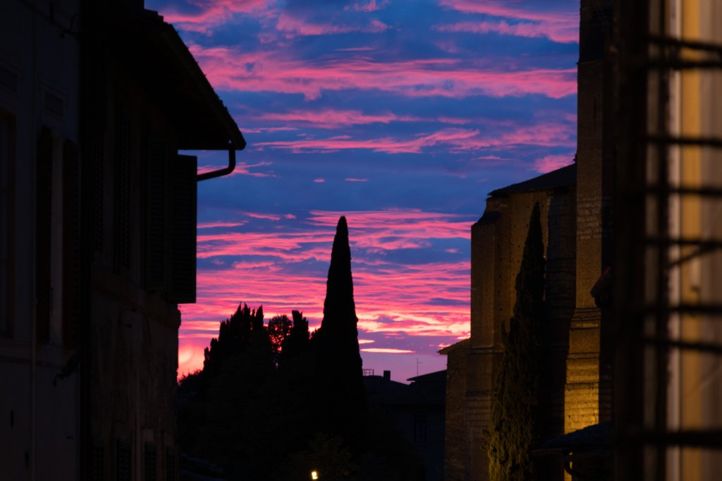 siena10_citt12.jpg