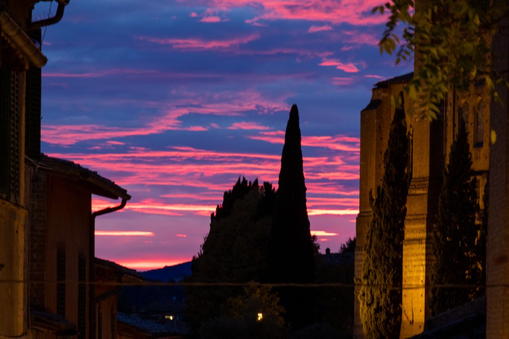 siena10_citt13.jpg