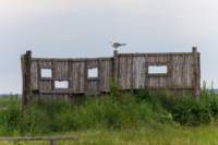 comacchio18apr23047_small.jpg