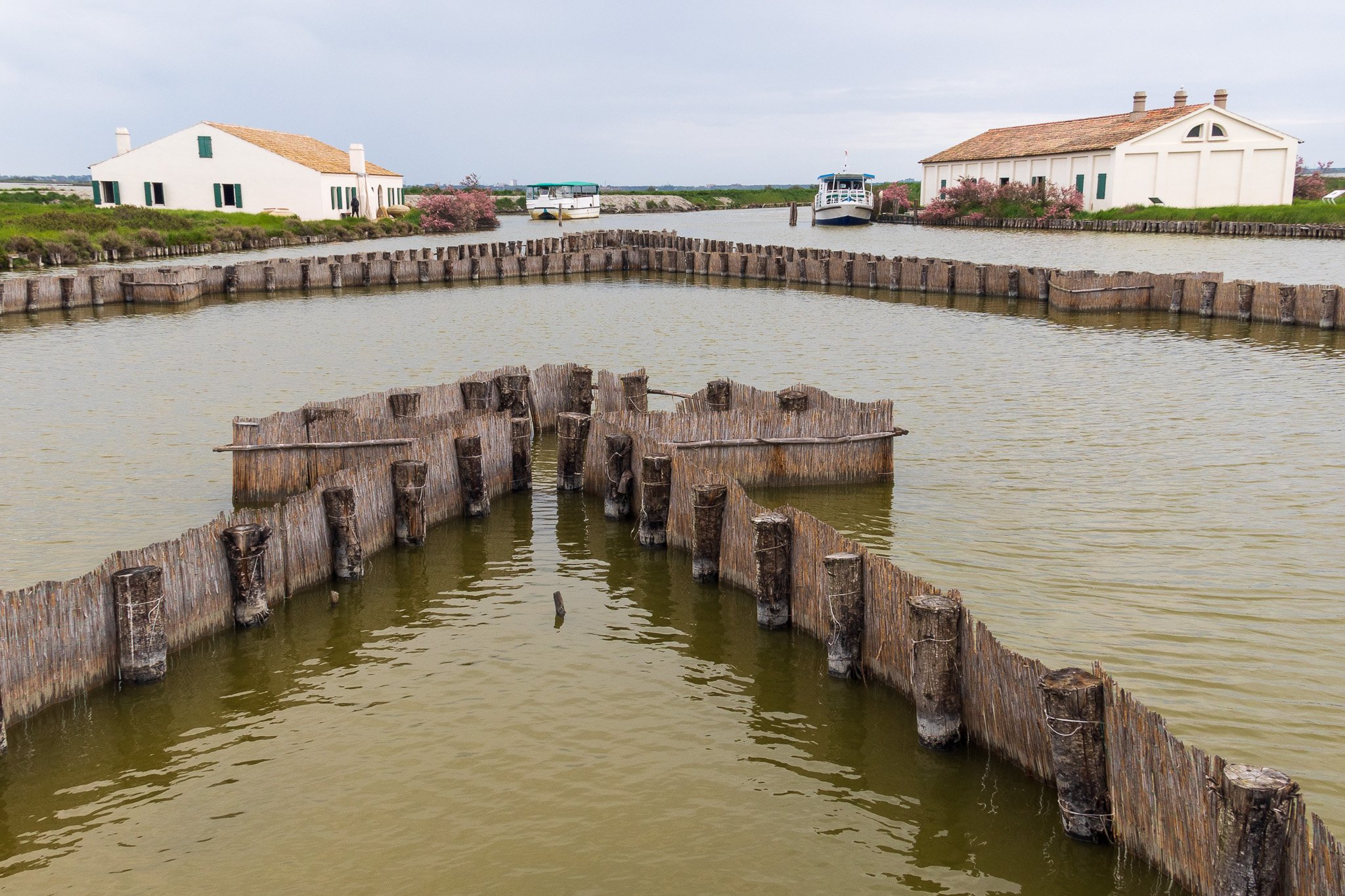 comacchio18apr23083.jpg