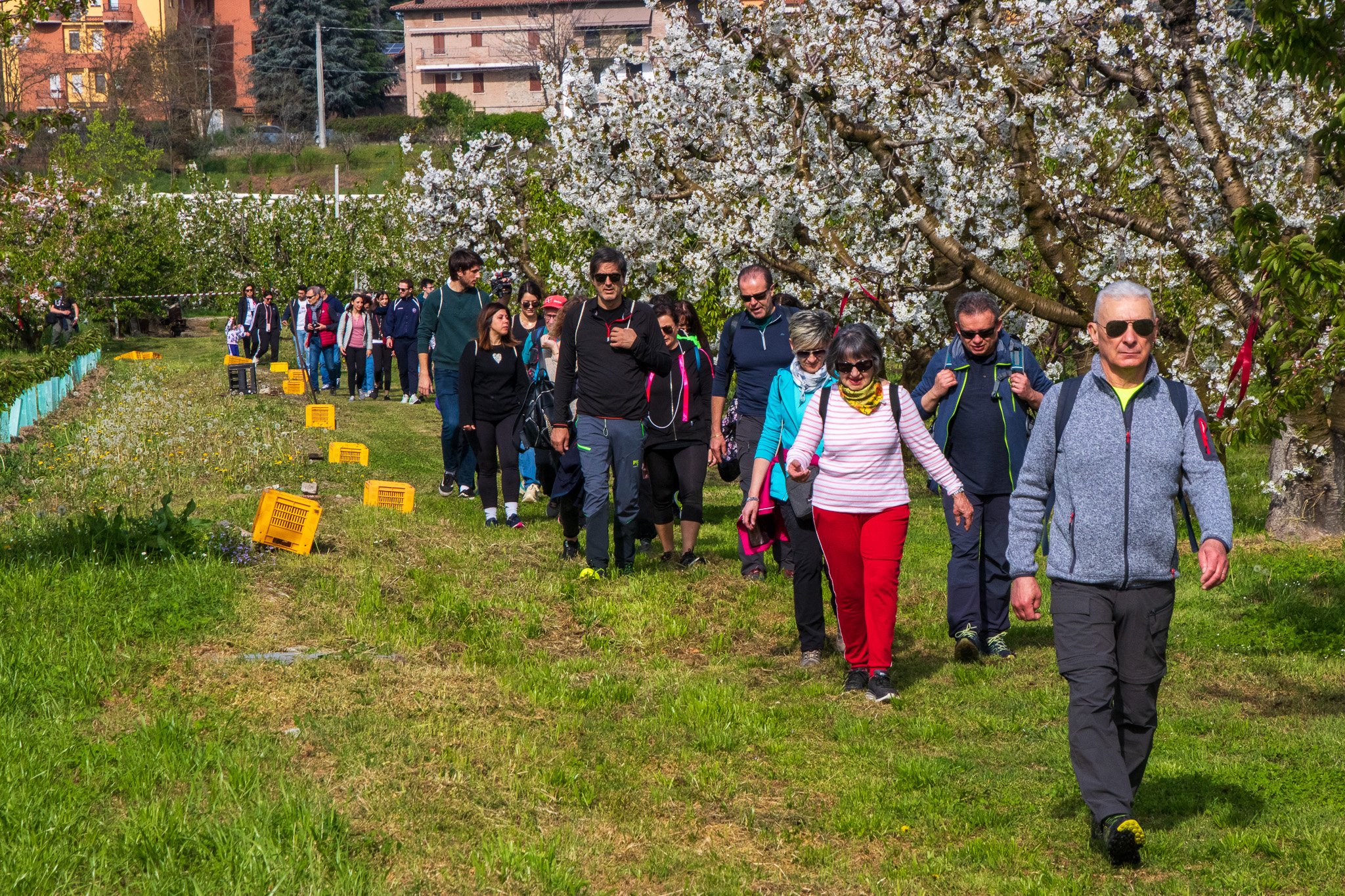 degustavignola6aprile2455.jpg