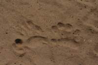 img_0294_small.jpg