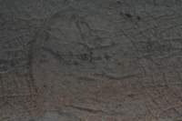 img_1185_small.jpg