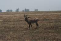 img_1342_small.jpg